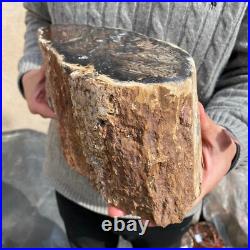 20.4lb Rare Natural petrified wood rough Wood fossil mineral specimen healing 20.4lb Rare Natural petrified wood rough Wood fossil mineral specimen healing