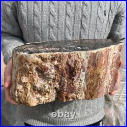 20.4lb Rare Natural petrified wood rough Wood fossil mineral specimen healing 20.4lb Rare Natural petrified wood rough Wood fossil mineral specimen healing