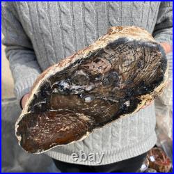20.4lb Rare Natural petrified wood rough Wood fossil mineral specimen healing 20.4lb Rare Natural petrified wood rough Wood fossil mineral specimen healing