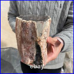 20.4lb Rare Natural petrified wood rough Wood fossil mineral specimen healing 20.4lb Rare Natural petrified wood rough Wood fossil mineral specimen healing