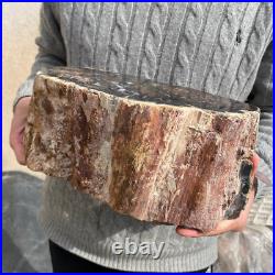 20.4lb Rare Natural petrified wood rough Wood fossil mineral specimen healing 20.4lb Rare Natural petrified wood rough Wood fossil mineral specimen healing