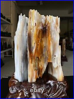20.6LB Natural Petrified wood quartz crystal decoration point wand healing+stand