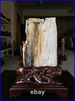 20.6LB Natural Petrified wood quartz crystal decoration point wand healing+stand