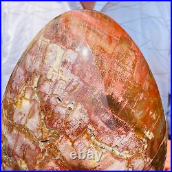 20.86lb Beautiful Large Petrified Wood Fossil Egg Crystal Home Decor Specimen