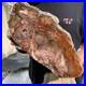 20_8LB_Rare_Natural_petrified_wood_rough_Wood_fossil_mineral_specimen_healing_01_nvdj