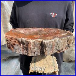 20.8lb Natural petrified wood rough Wood fossil mineral specimen tariff-free 20.8lb Natural petrified wood rough Wood fossil mineral specimen tariff-free
