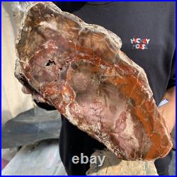 20.8lb Natural petrified wood rough Wood fossil mineral specimen tariff-free 20.8lb Natural petrified wood rough Wood fossil mineral specimen tariff-free