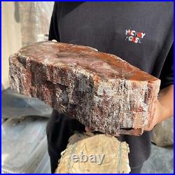 20.8lb Natural petrified wood rough Wood fossil mineral specimen tariff-free 20.8lb Natural petrified wood rough Wood fossil mineral specimen tariff-free