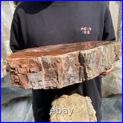 20.8lb Natural petrified wood rough Wood fossil mineral specimen tariff-free 20.8lb Natural petrified wood rough Wood fossil mineral specimen tariff-free