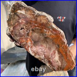 20.8lb Natural petrified wood rough Wood fossil mineral specimen tariff-free 20.8lb Natural petrified wood rough Wood fossil mineral specimen tariff-free