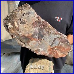 20.8lb Natural petrified wood rough Wood fossil mineral specimen tariff-free 20.8lb Natural petrified wood rough Wood fossil mineral specimen tariff-free
