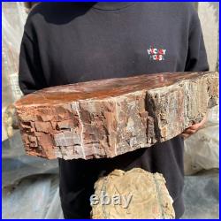 20.8lb Natural petrified wood rough Wood fossil mineral specimen tariff-free 20.8lb Natural petrified wood rough Wood fossil mineral specimen tariff-free