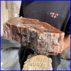 20.8lb Natural petrified wood rough Wood fossil mineral specimen tariff-free 20.8lb Natural petrified wood rough Wood fossil mineral specimen tariff-free