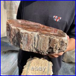 20.8lb Natural petrified wood rough Wood fossil mineral specimen tariff-free 20.8lb Natural petrified wood rough Wood fossil mineral specimen tariff-free