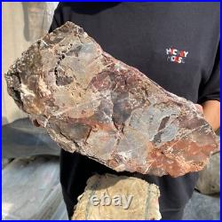 20.8lb Natural petrified wood rough Wood fossil mineral specimen tariff-free 20.8lb Natural petrified wood rough Wood fossil mineral specimen tariff-free