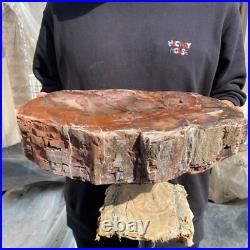 20.8lb Natural petrified wood rough Wood fossil mineral specimen tariff-free 20.8lb Natural petrified wood rough Wood fossil mineral specimen tariff-free