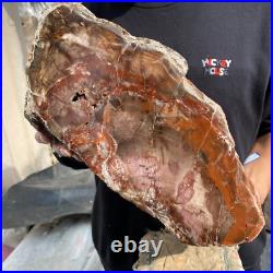20.8lb Natural petrified wood rough Wood fossil mineral specimen tariff-free 20.8lb Natural petrified wood rough Wood fossil mineral specimen tariff-free