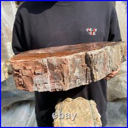 20.8lb Natural petrified wood rough Wood fossil mineral specimen tariff-free 20.8lb Natural petrified wood rough Wood fossil mineral specimen tariff-free