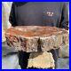 20_8lb_Rare_Natural_petrified_wood_rough_Wood_fossil_mineral_specimen_healing_01_eym