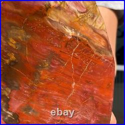 20.99LB Natural Fossil Petrified Wood Polished Freeform Crystal Mineral Healing
