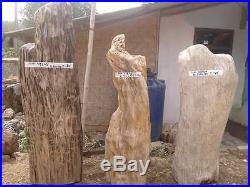 20 Ton Natural Indonesia Hard Tropical Petrified Wood Rough Sculpture For Garden