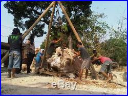 20 Ton Natural Indonesia Hard Tropical Petrified Wood Rough Sculpture For Garden
