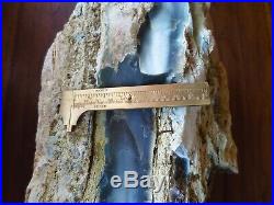 20lb Blue Opalized Petrified Wood Log from Indonesia