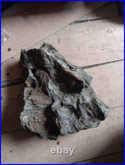 20lb Rare Natural petrified wood rough Wood fossil mineral