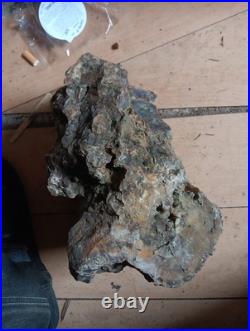20lb Rare Natural petrified wood rough Wood fossil mineral