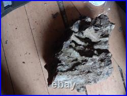 20lb Rare Natural petrified wood rough Wood fossil mineral