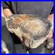 20lb_Rare_Natural_petrified_wood_rough_Wood_fossil_mineral_specimen_healing_01_dsgc