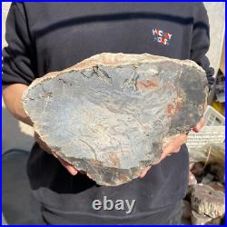 20lb Rare Natural petrified wood rough Wood fossil mineral specimen healing 20lb Rare Natural petrified wood rough Wood fossil mineral specimen healing