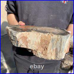 20lb Rare Natural petrified wood rough Wood fossil mineral specimen healing 20lb Rare Natural petrified wood rough Wood fossil mineral specimen healing