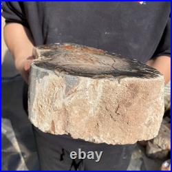 20lb Rare Natural petrified wood rough Wood fossil mineral specimen healing 20lb Rare Natural petrified wood rough Wood fossil mineral specimen healing