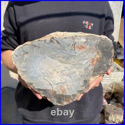 20lb Rare Natural petrified wood rough Wood fossil mineral specimen healing 20lb Rare Natural petrified wood rough Wood fossil mineral specimen healing