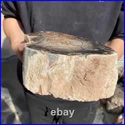 20lb Rare Natural petrified wood rough Wood fossil mineral specimen healing 20lb Rare Natural petrified wood rough Wood fossil mineral specimen healing
