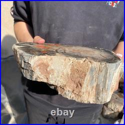 20lb Rare Natural petrified wood rough Wood fossil mineral specimen healing 20lb Rare Natural petrified wood rough Wood fossil mineral specimen healing