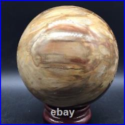 2120g Beautiful Petrified Wood Fossil Crystal ball Freeform Madagascar+ stand