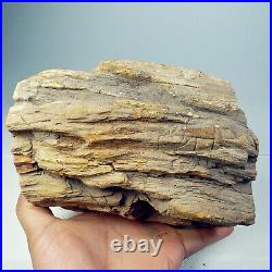 2123g PETRIFIED WOOD Branch Slab Fossil Standup Madagascar A2458