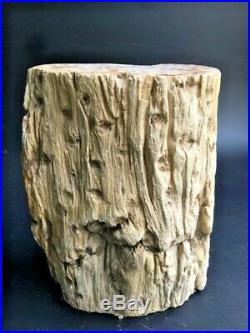 2137g Beautiful Petrified Wood Fossil Slice Crystal Freeform Madagascar U160