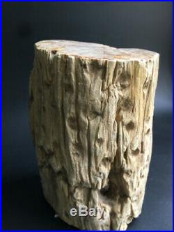 2137g Beautiful Petrified Wood Fossil Slice Crystal Freeform Madagascar U160