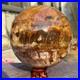 2165g_Natural_Petrified_Wood_Fossil_Quartz_Crystal_Sphere_Mineral_Specimen_01_nl