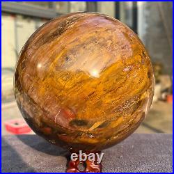 2165g Natural Petrified Wood Fossil Quartz Crystal Sphere Mineral Specimen 2165g Natural Petrified Wood Fossil Quartz Crystal Sphere Mineral Specimen