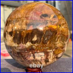 2165g Natural Petrified Wood Fossil Quartz Crystal Sphere Mineral Specimen 2165g Natural Petrified Wood Fossil Quartz Crystal Sphere Mineral Specimen