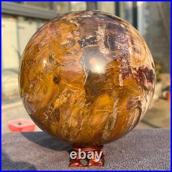 2165g Natural Petrified Wood Fossil Quartz Crystal Sphere Mineral Specimen 2165g Natural Petrified Wood Fossil Quartz Crystal Sphere Mineral Specimen