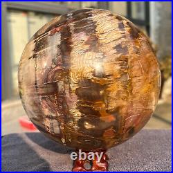 2165g Natural Petrified Wood Fossil Quartz Crystal Sphere Mineral Specimen 2165g Natural Petrified Wood Fossil Quartz Crystal Sphere Mineral Specimen