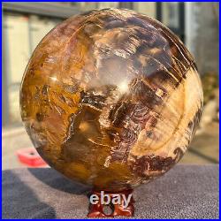 2165g Natural Petrified Wood Fossil Quartz Crystal Sphere Mineral Specimen 2165g Natural Petrified Wood Fossil Quartz Crystal Sphere Mineral Specimen
