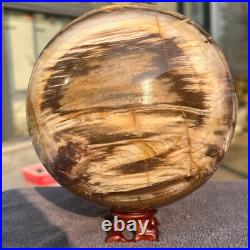2165g Natural Petrified Wood Fossil Quartz Crystal Sphere Mineral Specimen 2165g Natural Petrified Wood Fossil Quartz Crystal Sphere Mineral Specimen