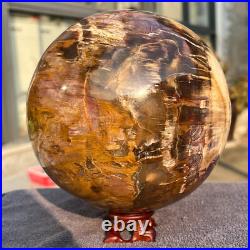 2165g Natural Petrified Wood Fossil Quartz Crystal Sphere Mineral Specimen 2165g Natural Petrified Wood Fossil Quartz Crystal Sphere Mineral Specimen