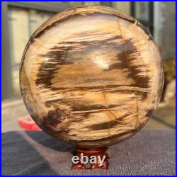 2165g Natural Petrified Wood Fossil Quartz Crystal Sphere Mineral Specimen 2165g Natural Petrified Wood Fossil Quartz Crystal Sphere Mineral Specimen